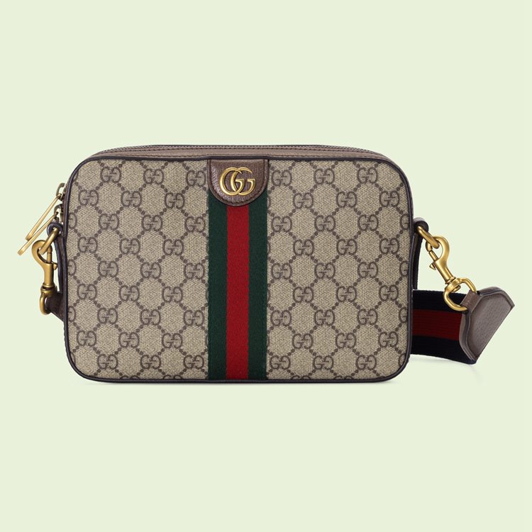 699439.9C2ST.8920.001.082.0000.Light Ophidia GG shoulder bag